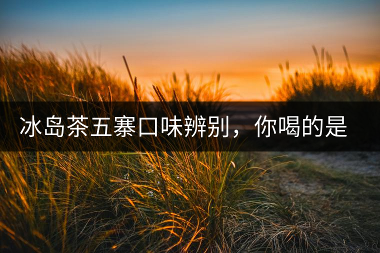 冰島茶五寨口味辨別，你喝的是正宗冰島茶嗎?冰島茶五寨口味辨別，你喝的是正宗冰島茶嗎？