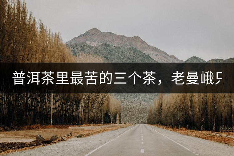 普洱茶里最苦的三個茶，老曼峨只能排第三！