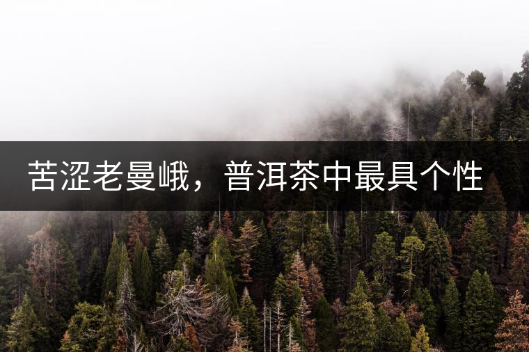 苦澀老曼峨，普洱茶中最具個性的“布朗味”苦澀老曼峨，普洱茶中最具個性的“布朗味”