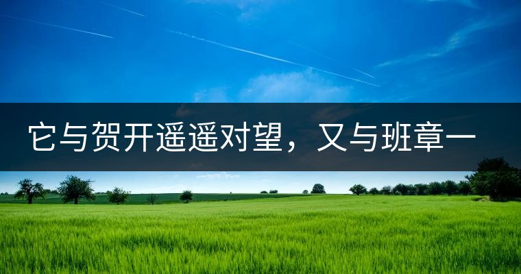 它與賀開遙遙對望，又與班章一衣帶水，它是班盆古樹春尖它與賀開遙遙對望，又與班章一衣帶水，它是班盆古樹春尖