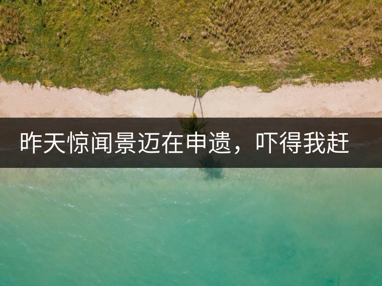 昨天驚聞景邁在申遺，嚇得我趕緊拿出景邁茶……昨天驚聞景邁在申遺，嚇得我趕緊拿出景邁茶……