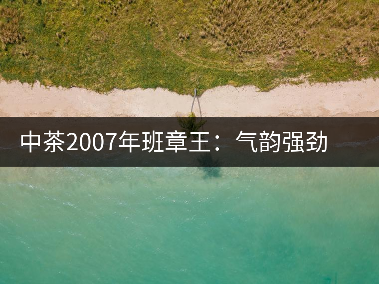 中茶2007年班章王：氣韻強(qiáng)勁，蜂蜜水般甜潤，一直被老茶客撿漏
