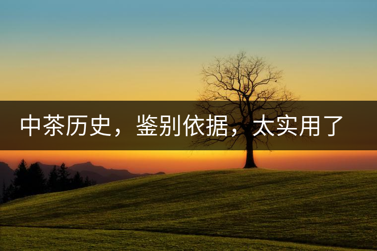 中茶歷史，鑒別依據(jù)，太實用了中茶歷史，鑒別依據(jù)，太實用了