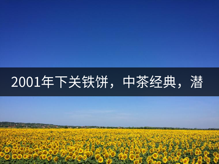 2001年下關(guān)鐵餅，中茶經(jīng)典，潛力可期!