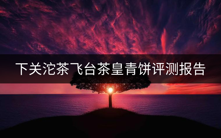 下關(guān)沱茶飛臺茶皇青餅評測報告