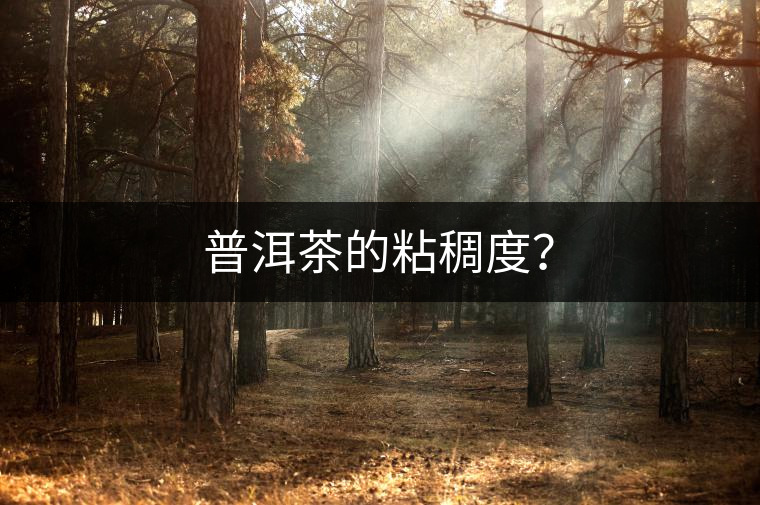 普洱茶的粘稠度？