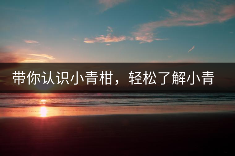 帶你認識小青柑，輕松了解小青柑的前世今生