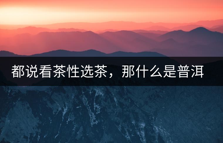 都說看茶性選茶，那什么是普洱茶的“茶性”呢？