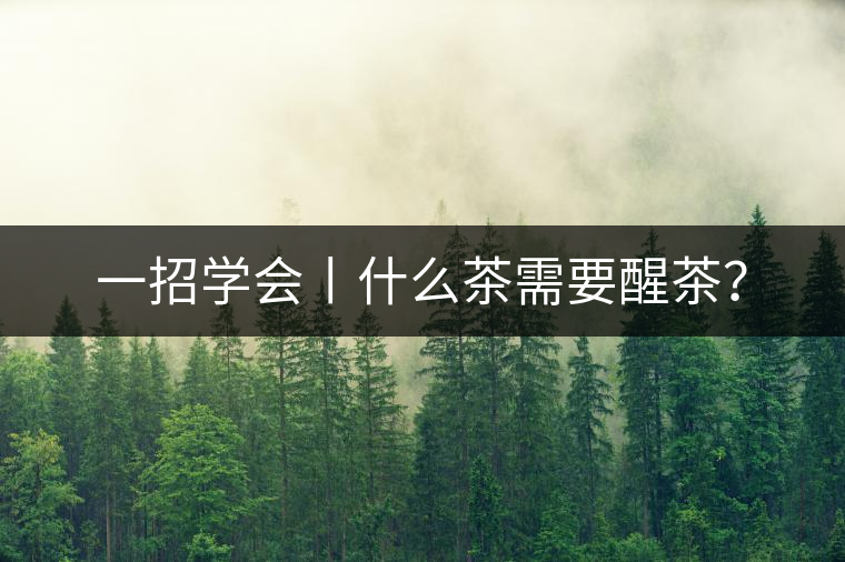 一招學(xué)會(huì)丨什么茶需要醒茶？