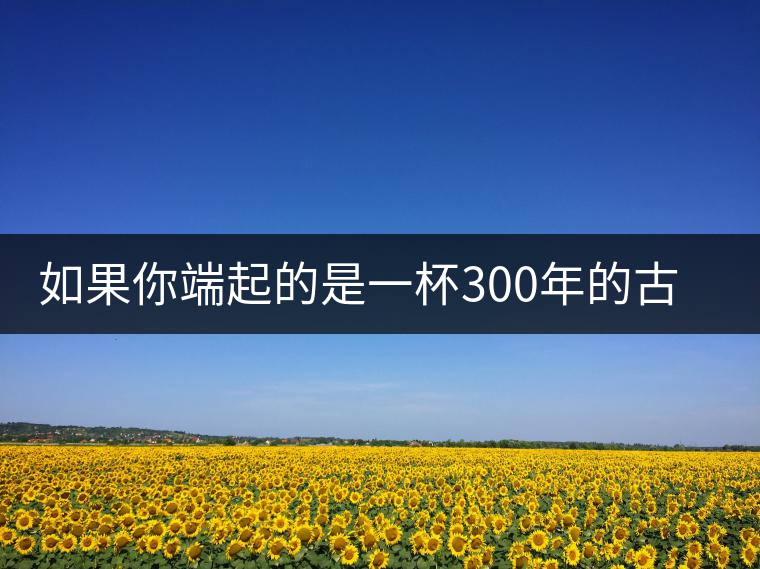 如果你端起的是一杯300年的古樹茶，那會是一種怎樣的心境？