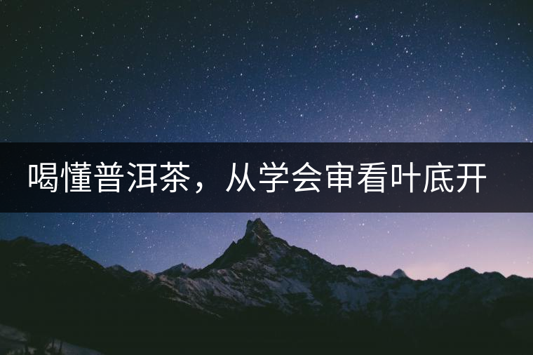 喝懂普洱茶，從學(xué)會審看葉底開始