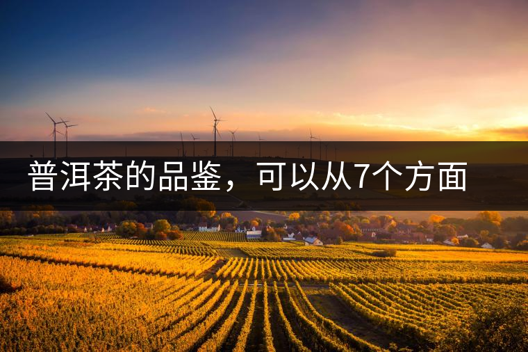 普洱茶的品鑒，可以從7個方面著手