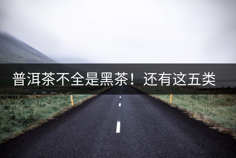 普洱茶不全是黑茶！還有這五類茶，現(xiàn)在知道還不算晚