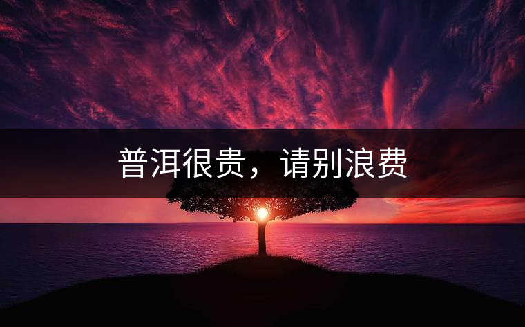 普洱很貴，請(qǐng)別浪費(fèi)