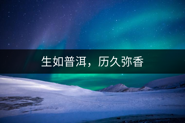 生如普洱，歷久彌香