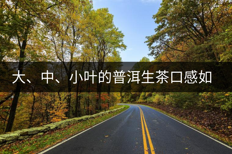 大、中、小葉的普洱生茶口感如何辨別？