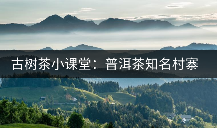古樹茶小課堂：普洱茶知名村寨的生態(tài)環(huán)境如何？