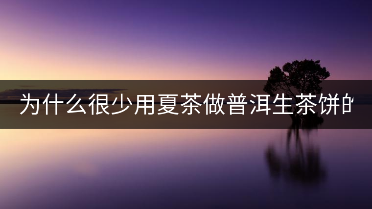 為什么很少用夏茶做普洱生茶餅的？