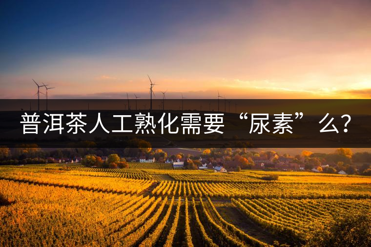 普洱茶人工熟化需要“尿素”么？