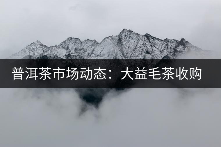 普洱茶市場(chǎng)動(dòng)態(tài)：大益毛茶收購(gòu)價(jià)跌兩成？