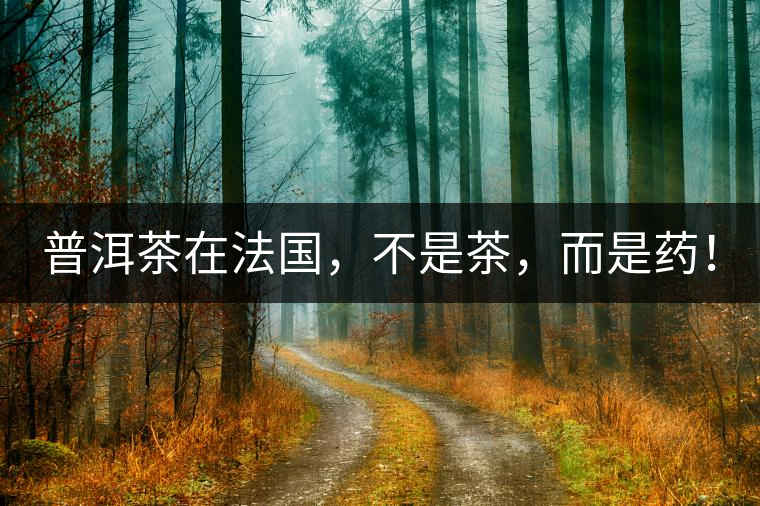 普洱茶在法國，不是茶，而是藥！