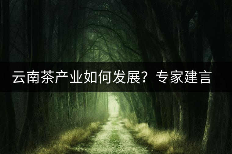 云南茶產(chǎn)業(yè)如何發(fā)展？專(zhuān)家建言：產(chǎn)業(yè)復(fù)興助脫貧