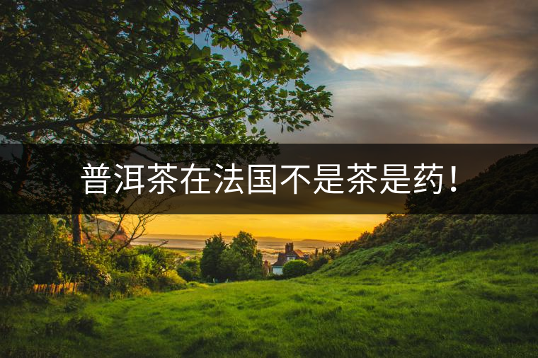普洱茶在法國(guó)不是茶是藥！