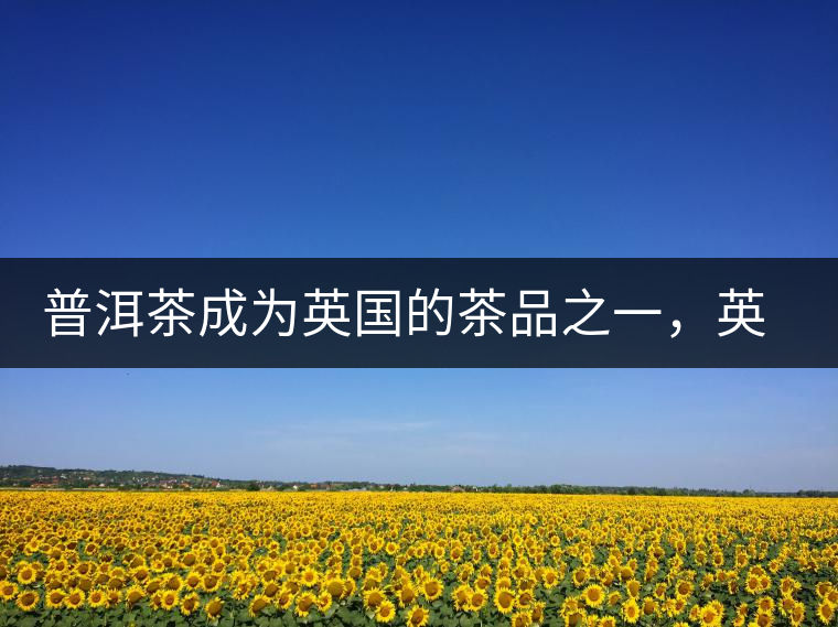 普洱茶成為英國的茶品之一，英國雜志給出7大理由