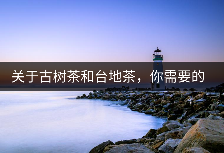 關(guān)于古樹(shù)茶和臺(tái)地茶，你需要的知識(shí)全在這里了