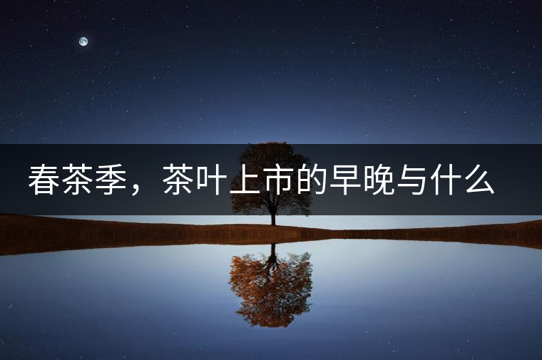 春茶季，茶葉上市的早晚與什么有關(guān)