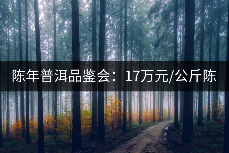 陳年普洱品鑒會(huì)：17萬(wàn)元/公斤陳茶 天月茶城免費(fèi)喝