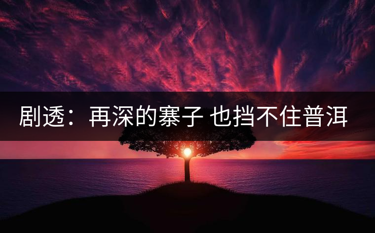 劇透：再深的寨子 也擋不住普洱茶的醇香