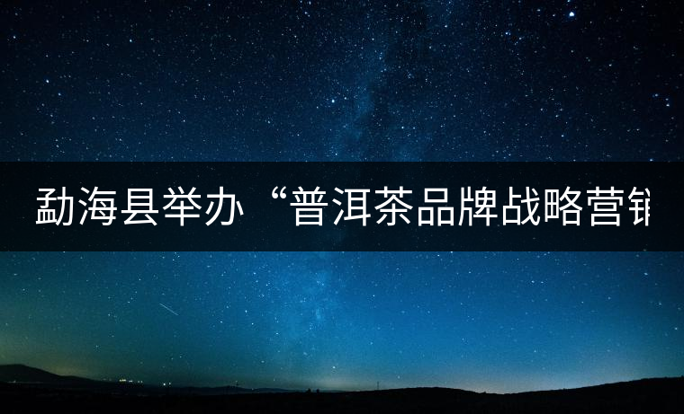 勐?？h舉辦“普洱茶品牌戰(zhàn)略營銷專題講座”