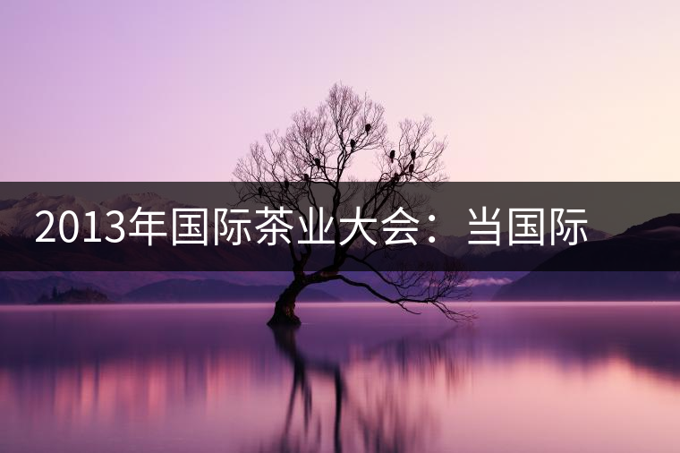2013年國際茶業(yè)大會:當國際元素遇上普洱 2013年國際茶業(yè)大會:當國際元素遇上普洱
