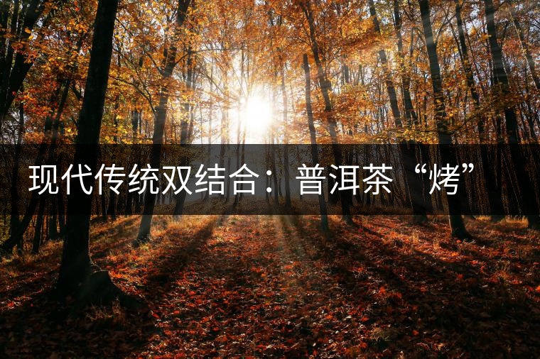 現(xiàn)代傳統(tǒng)雙結(jié)合:普洱茶“烤”上了太陽能 現(xiàn)代傳統(tǒng)雙結(jié)合:普洱茶“烤”上了太陽能