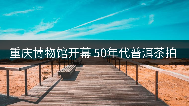 重慶博物館開(kāi)幕 50年代普洱茶拍出“天價(jià)”