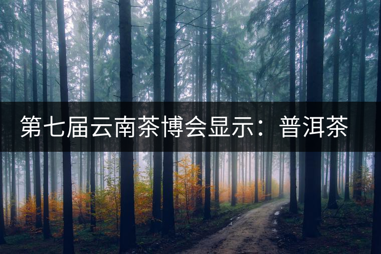 第七屆云南茶博會(huì)顯示:普洱茶開始回歸理性 第七屆云南茶博會(huì)顯示:普洱茶開始回歸理性