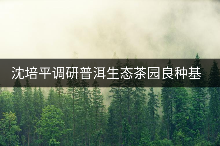 沈培平調(diào)研普洱生態(tài)茶園良種基地 沈培平調(diào)研普洱生態(tài)茶園良種基地