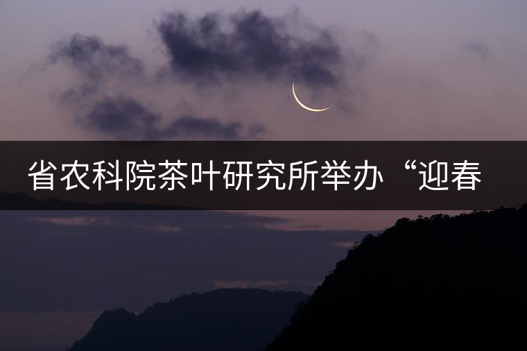 省農(nóng)科院茶葉研究所舉辦“迎春節(jié)、慶元旦”籃球聯(lián)誼賽