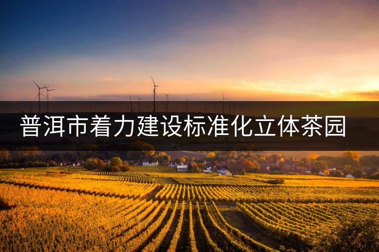 普洱市著力建設(shè)標(biāo)準(zhǔn)化立體茶園示范區(qū) 普洱市著力建設(shè)標(biāo)準(zhǔn)化立體茶園示范區(qū)