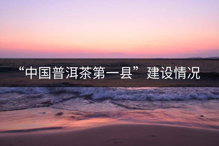 “中國(guó)普洱茶第一縣”建設(shè)情況匯報(bào)