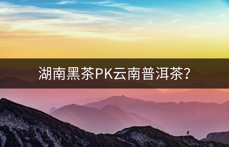 湖南黑茶PK云南普洱茶？