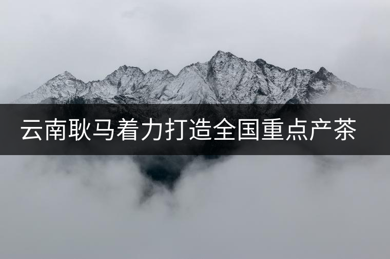 云南耿馬著力打造全國重點(diǎn)產(chǎn)茶縣