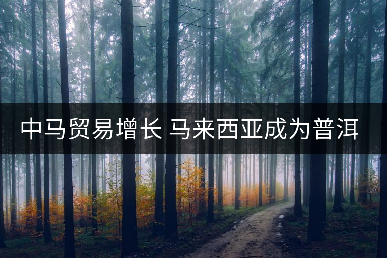 中馬貿(mào)易增長(zhǎng) 馬來西亞成為普洱茶主要出口國(guó)