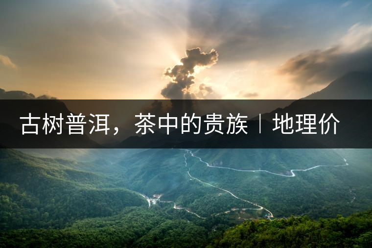 古樹(shù)普洱,茶中的貴族︱地理價(jià)值是普洱茶的最大資源優(yōu)勢(shì) 古樹(shù)普洱,茶中的貴族︱地理價(jià)值是普洱茶的最大資源優(yōu)勢(shì)