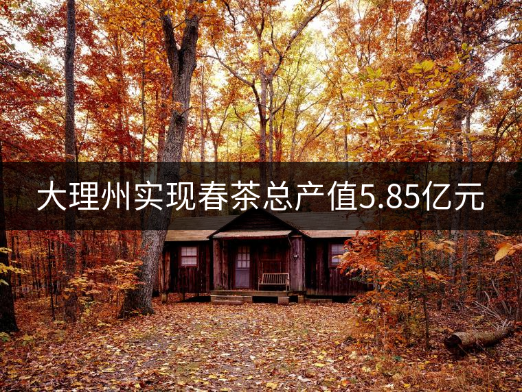 大理州實現(xiàn)春茶總產(chǎn)值5.85億元 大理州實現(xiàn)春茶總產(chǎn)值5.85億元