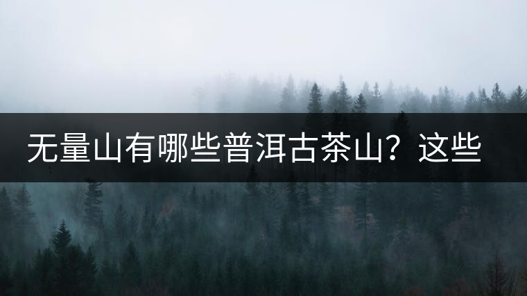 無(wú)量山有哪些普洱古茶山？這些古茶山的茶葉怎么樣？