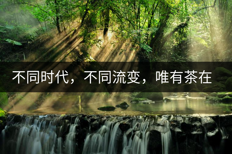 不同時(shí)代，不同流變，唯有茶在傳承