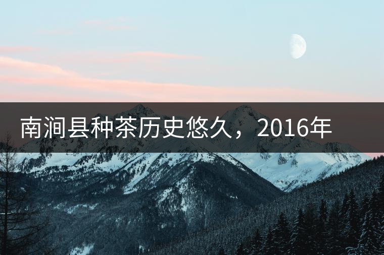 南澗縣種茶歷史悠久，2016年被評為全國十大生態(tài)產(chǎn)茶縣