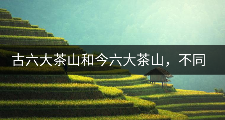 古六大茶山和今六大茶山，不同普洱茶品質(zhì)